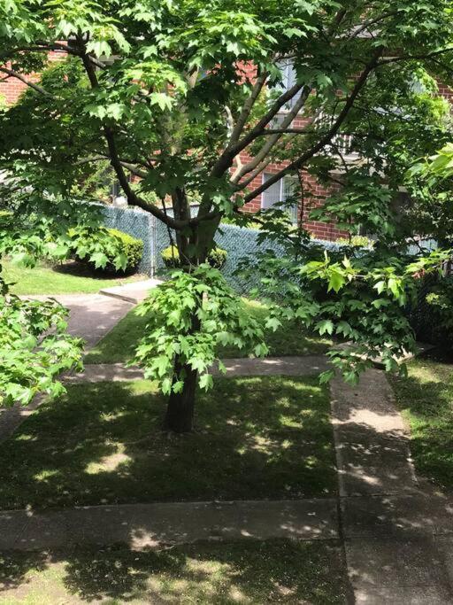 Brooklyn Luxury Spring Retreat With Private Outdoor Space 纽约 外观 照片