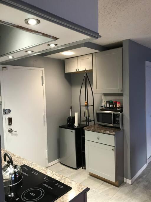 Brooklyn Luxury Spring Retreat With Private Outdoor Space 纽约 外观 照片