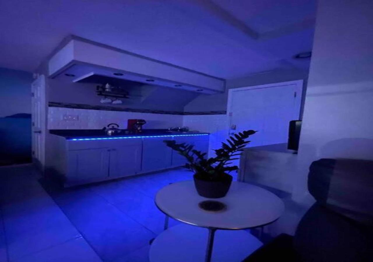 Brooklyn Luxury Spring Retreat With Private Outdoor Space 纽约 外观 照片